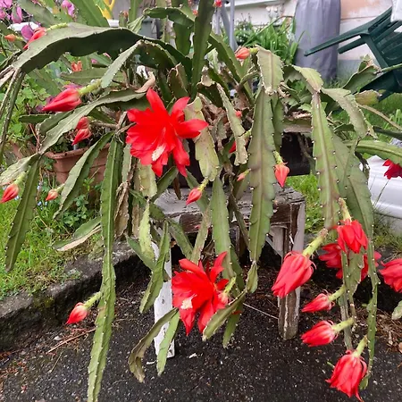 Apartamento Brunegg Goess Leoben (Styria)