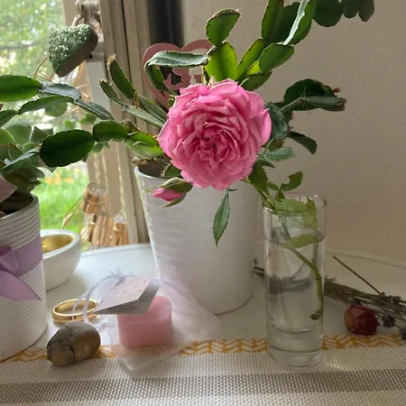 Apartmán Brunegg Goess