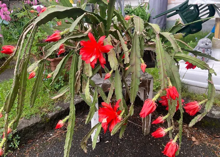 Lägenhet Brunegg Goess Leoben (Styria)