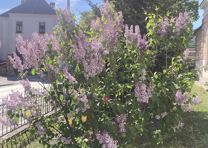 Brunegg Goess Lägenhet Leoben (Styria)