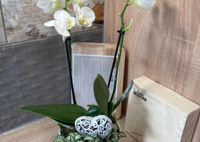 Brunegg Goess Lägenhet *